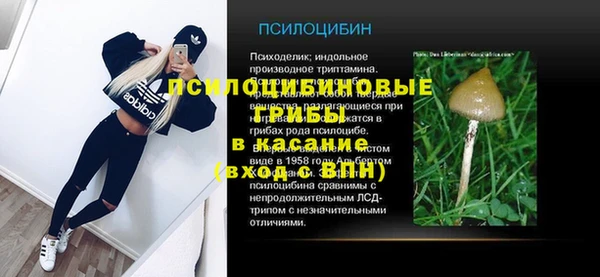 a pvp Алексин
