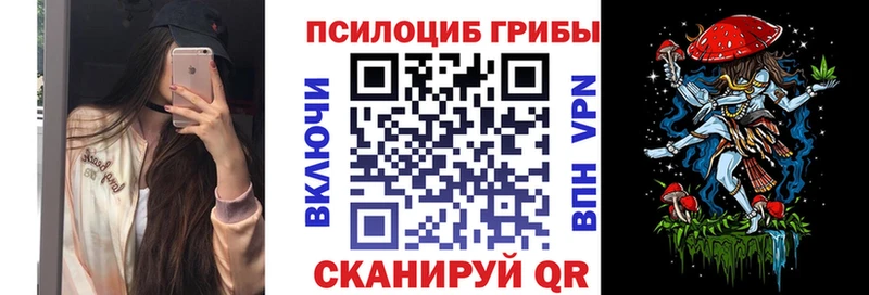 Псилоцибиновые грибы мицелий  наркота  Яровое 
